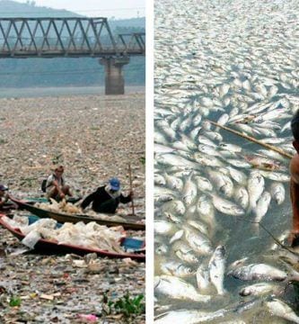 destrozando el plantena destacada