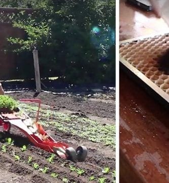 maquina cultivo eficiente dest