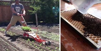 maquina cultivo eficiente dest