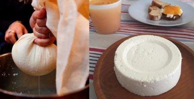 queso fresco dest