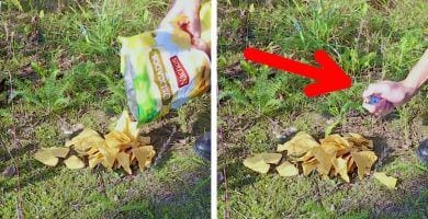 trucos patatas fritas