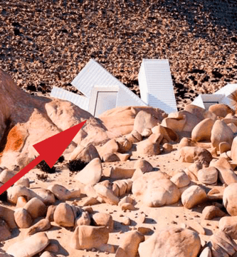 casa rara contenedores dest