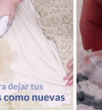 manchas alfombras dest