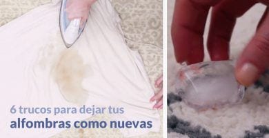 manchas alfombras dest