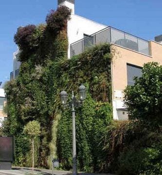 fachada vegetal