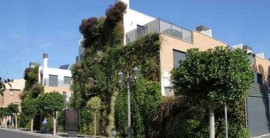 fachada vegetal