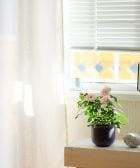 cortinas de madera
