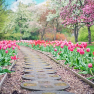 suelos para jardin