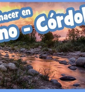nono cordoba