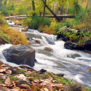 ecosistemas de agua dulce 1