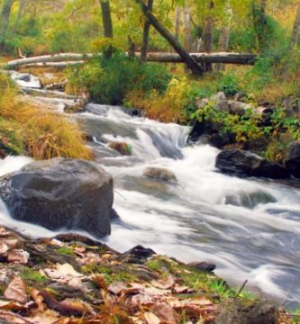 ecosistemas de agua dulce 1