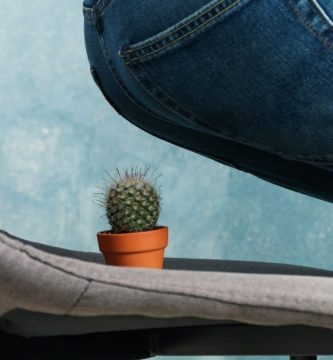 remedios naturales para las hemorroides 1 1