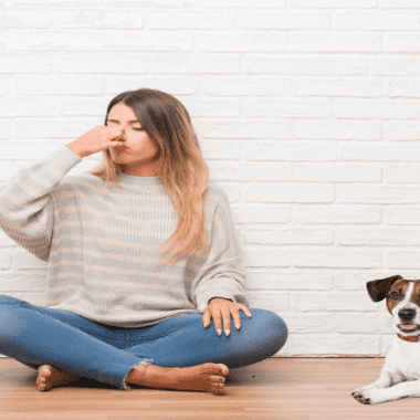 eliminar el mal olor de los perros 1