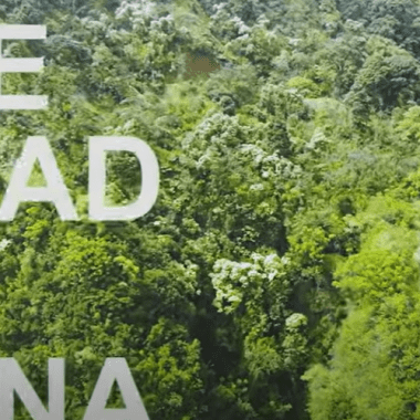 hana carretera