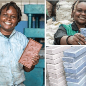 ladrillos de plastico 1