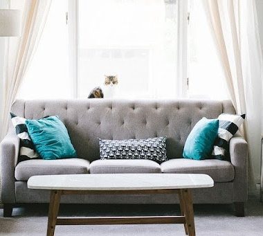 sofa elasticas