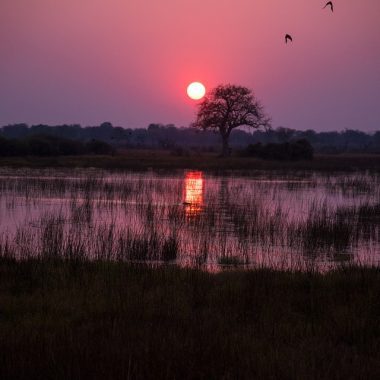 Chobe