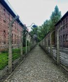 Auschwitz Birkenau 2022