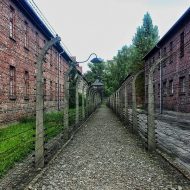 Auschwitz Birkenau 2022