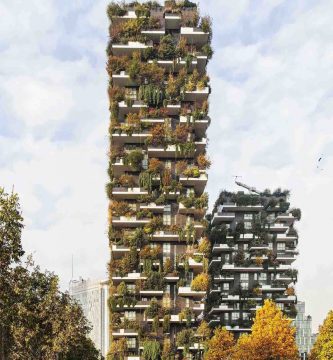 bosque vertical 3