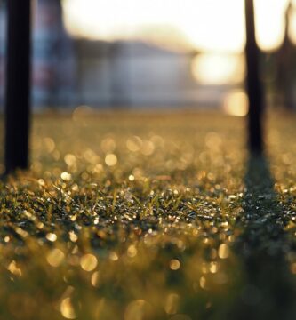 Mantenimiento y cuidado del césped artificial consejos prácticos